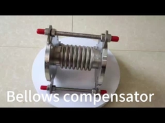 DN50 PN16 SS304 ベロー拡張関節