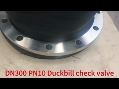 カザフスタンに海辺で使用するために出荷されたフレンズ型ダックビールバルブ